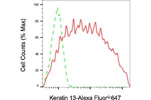 Flow cytometric analysis of Keratin 13 expression in HaCaT cells using Keratin 13 antibody (ABIN7799164), 1:2,000).