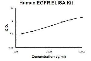 Human EGFR PicoKine ELISA Kit standard curve