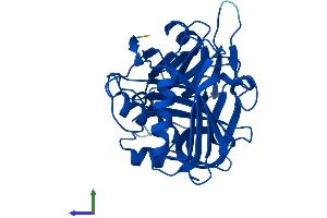 Protein Structure (PS) image for Chromosome 11 Open Reading Frame 54 (C11orf54) (AA 1-315) protein (His tag) (ABIN7546522)