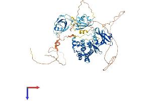 DCLK1 Protein (AA 1-756) (His tag)