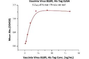 Immobilized Human IFN-α1a at 2 μg/mL (100 μL/well) can bind Vaccinia Virus B18R, His Tag (ABIN2870853,ABIN2870854) with a linear range of 0.
