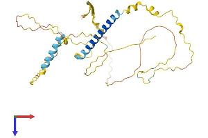 TAF1D Protein (AA 1-322) (His tag)