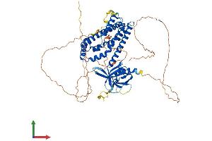 Protein Structure (PS) image for Neuroepithelial Cell Transforming 1 (NET1) (AA 1-595) protein (His tag) (ABIN7556401)