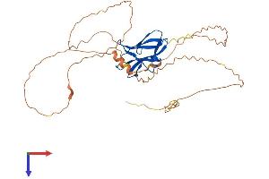 STBD1 Protein (AA 1-358) (His tag)