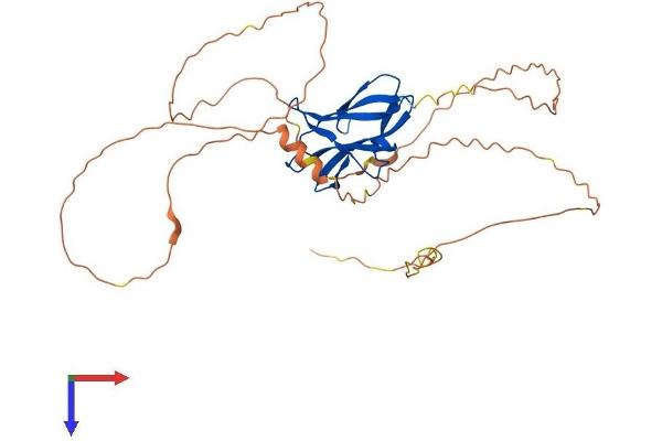 STBD1 Protein (AA 1-358) (His tag)