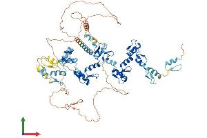 Protein Structure (PS) image for Zinc Finger Protein 778 (ZNF778) (AA 1-729) protein (His tag) (ABIN7545400)