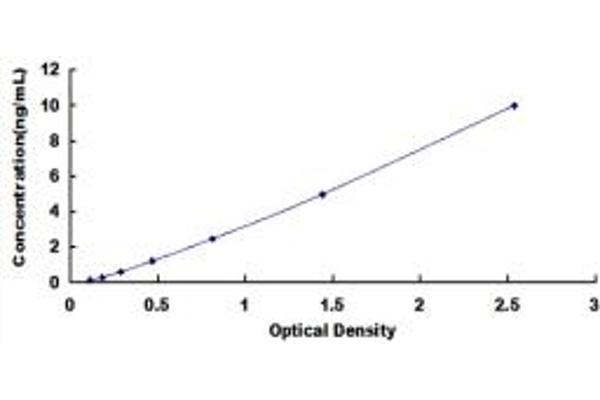 Kallikrein 4 ELISA Kit