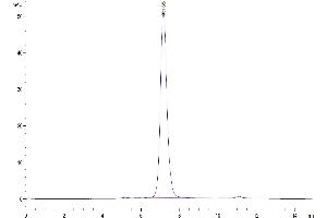 Size-exclusion chromatography-High Pressure Liquid Chromatography (SEC-HPLC) image for Tumor Necrosis Factor (Ligand) Superfamily, Member 13b (TNFSF13B) (AA 141-285), (Trimer) protein (hFc-DYKDDDDK Tag) (ABIN7273913)