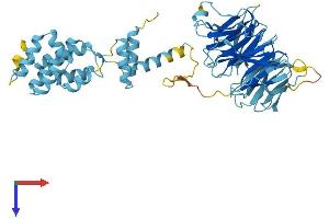 SMU1 Protein (AA 1-513) (His tag)