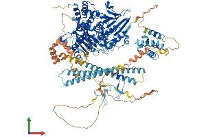 AlphaFold protein structure predicition of Human Recombinant MICAL1 Protein, UniprotID Q8TDZ2