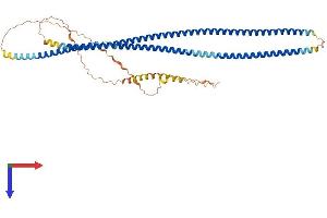 INA Protein (AA 1-501) (His tag)