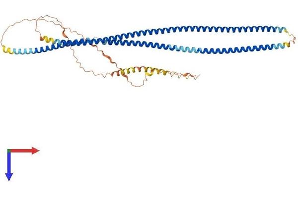 INA Protein (AA 1-501) (His tag)