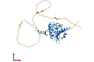AlphaFold protein structure predicition of Human Recombinant BNIP2 Protein, UniprotID Q12982