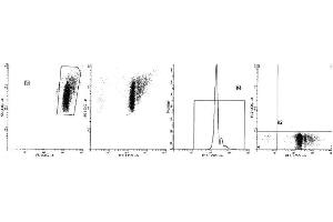 Image no. 1 for anti-Glycophorin A (GYPA) antibody (FITC) (ABIN1106121) (CD235a/GYPA Antikörper  (FITC))