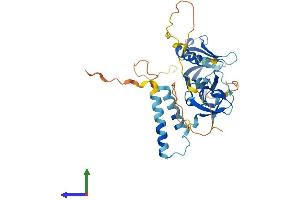 Protein Structure (PS) image for Src Kinase Associated Phosphoprotein 2 (SKAP2) (AA 1-358) protein (His tag) (ABIN7557243)