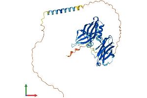 Protein Structure (PS) image for Synaptotagmin VIII (SYT8) (AA 1-395) protein (His tag) (ABIN7556194)
