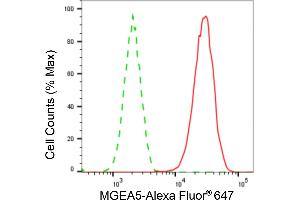 Flow cytometric analysis of MGEA5 expression in HAP-1 cells using MGEA5 antibody (ABIN7799372), 1:2,000). (Rekombinanter MGEA5 Antikörper)