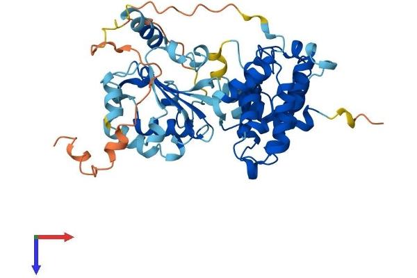 ARHGAP1 Protein (AA 1-439) (His tag)