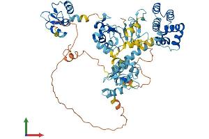 Protein Structure (PS) image for Baculoviral IAP Repeat Containing 3 (BIRC3) (AA 1-604) protein (His tag) (ABIN7552764)