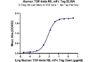 Immobilized Human Mature TGF beta 1, No Tag at 0. (TGFBR2 Protein (AA 24-159) (mFc-Avi Tag))