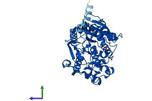 Protein Structure (PS) image for Neutral Cholesterol Ester Hydrolase 1 (NCEH1) (AA 1-408) protein (His tag) (ABIN7549690)
