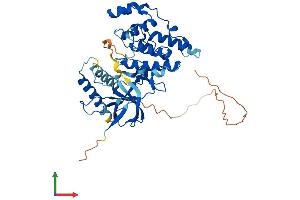 Protein Structure (PS) image for Mitogen-Activated Protein Kinase 9 (MAPK9) (AA 1-424) protein (His tag) (ABIN7554572)
