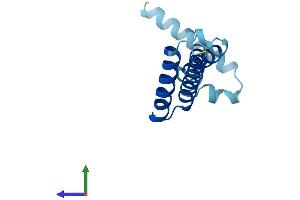 Protein Structure (PS) image for Brain Protein 44 (BRP44) (AA 1-127) protein (His tag) (ABIN7549443)