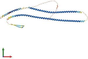 AlphaFold protein structure predicition of Mouse Recombinant Krt17 Protein, UniprotID Q9QWL7