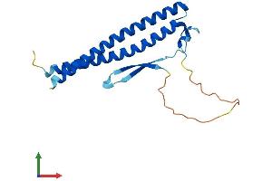 Protein Structure (PS) image for Coiled-Coil Domain Containing 115 (CCDC115) (AA 1-180) protein (His tag) (ABIN7552929)