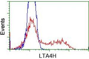 Image no. 1 for anti-Leukotriene A4 Hydrolase (LTA4H) antibody (ABIN1499213) (LTA4H Antikörper)