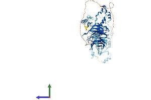 AlphaFold protein structure predicition of Human Recombinant BOP1 Protein, UniprotID Q14137