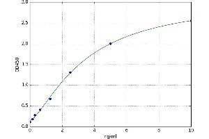 A typical standard curve (TRAF6 ELISA Kit)