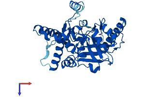 MOGAT1 Protein (AA 1-335) (His tag)