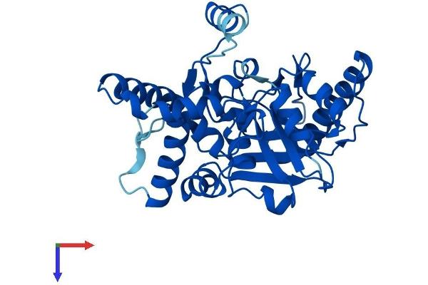 MOGAT1 Protein (AA 1-335) (His tag)