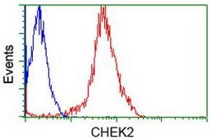 Flow Cytometry (FACS) image for anti-Checkpoint Kinase 2 (CHEK2) antibody (ABIN1497499)