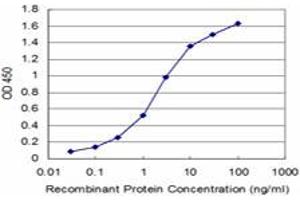 Detection limit for recombinant GST tagged FADD is approximately 0. (FADD Antikörper  (AA 109-208))