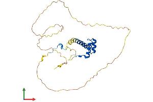 AlphaFold protein structure predicition of Mouse Recombinant Hoxb5 Protein, UniprotID P09079 (HOXB5 Protein (AA 1-269) (His tag))