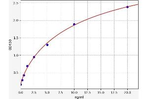 Typical standard curve (KIF5A ELISA Kit)