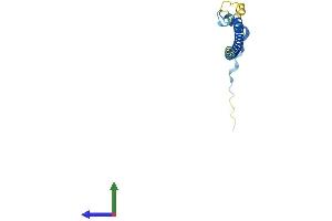 AlphaFold protein structure predicition of Human Recombinant C19orf25 Protein, UniprotID Q9UFG5