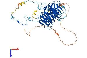RBBP5 Protein (AA 1-538) (His tag)