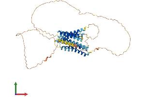 AlphaFold protein structure predicition of Mouse Recombinant Slc39a7 Protein, UniprotID Q31125