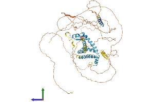 Protein Structure (PS) image for A Kinase (PRKA) Anchor Protein 8 (AKAP8) (AA 1-692) protein (His tag) (ABIN7551939)