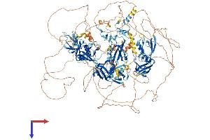 MAGI1 Protein (AA 1-1471) (His tag)