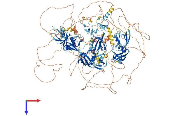 MAGI1 Protein (AA 1-1471) (His tag)