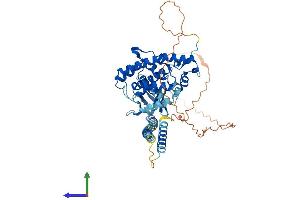 Protein Structure (PS) image for Pleckstrin Homology Domain Containing, Family A (Phosphoinositide Binding Specific) Member 8 (PLEKHA8) (AA 1-519) protein (His tag) (ABIN7554971)