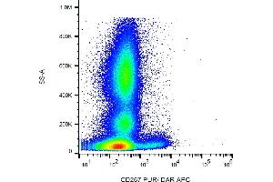 Flow cytometry analysis (surface staining) of human peripheral blood with anti-human CD267 (1A1) purified, DAR-APC.