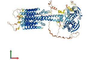 Protein Structure (PS) image for Adenylate Cyclase 1 (Brain) (ADCY1) (AA 1-1118) protein (His tag) (ABIN7562602)
