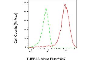Flow cytometric analysis of TUBB4A expression in HAP-1 cells using TUBB4A antibody (ABIN7800660), 1:2,000). (Rekombinanter TUBB4 Antikörper)