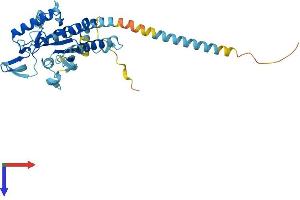 Septin 2 Protein (SEPT2) (AA 1-361) (His tag)