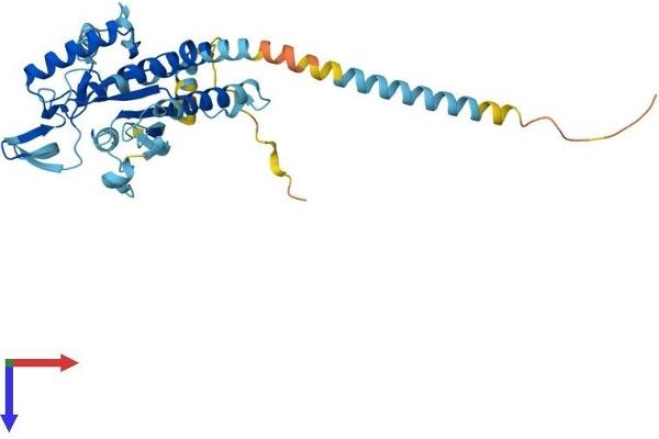 Septin 2 Protein (SEPT2) (AA 1-361) (His tag)